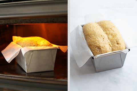 The Best Low-Carb Yeast Bread (keto, grain-free, gluten-free) The Best Low-Carb Yeast Bread