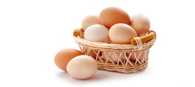 Should I Buy Organic, Grass-Fed, and Pastured Animal Products?