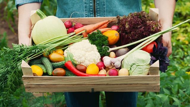 Should I Buy Organic Fruits and Vegetables? Your Ultimate Guide