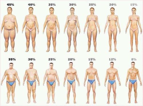 All You Need to Know About Protein on a Low-Carb Ketogenic Diet